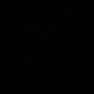 Meet your Posher, Tori